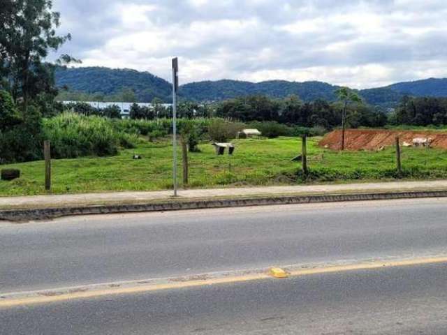 Terreno para Venda em Guaramirim, Ilha da Figueira