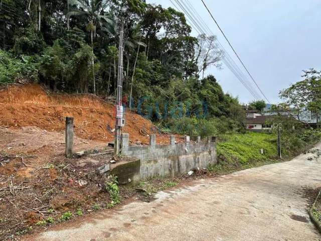 Terreno para Venda em Jaraguá do Sul, Ilha da Figueira