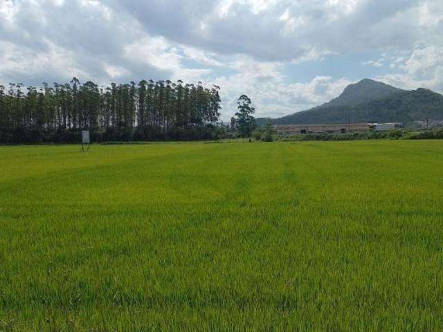 Terreno para Venda em Guaramirim, Escolinha