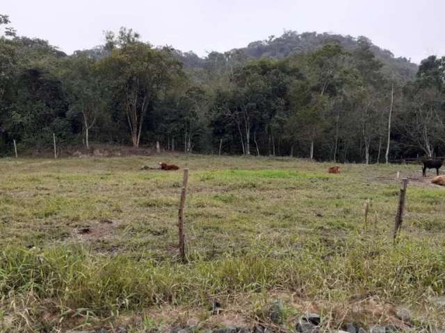 Terreno para Venda em Guaramirim, Caixa D água