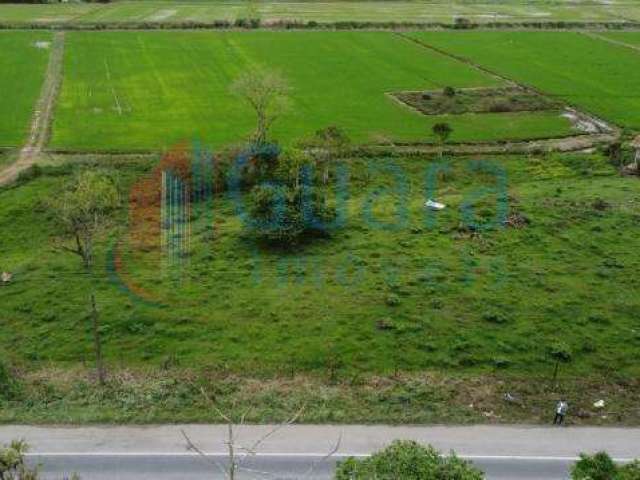 Terreno para Venda em Massaranduba, Centro