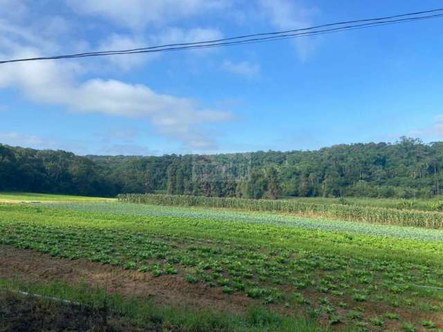 Terreno na cidade de Suzano São Paulo com a 194.153,97 m2.