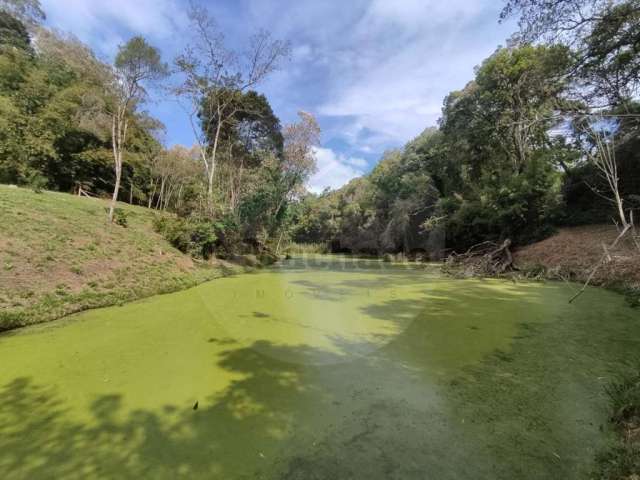 Chácara para Venda em São José dos Pinhais, Colônia Mergulhão, 2 dormitórios, 1 banheiro, 2 vagas