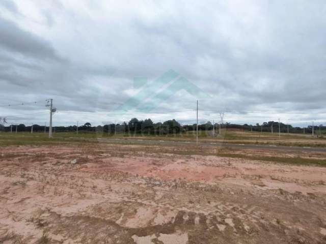 Terreno para Venda em Fazenda Rio Grande, Gralha Azul