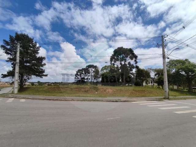 Terreno para Venda em Fazenda Rio Grande, Veneza