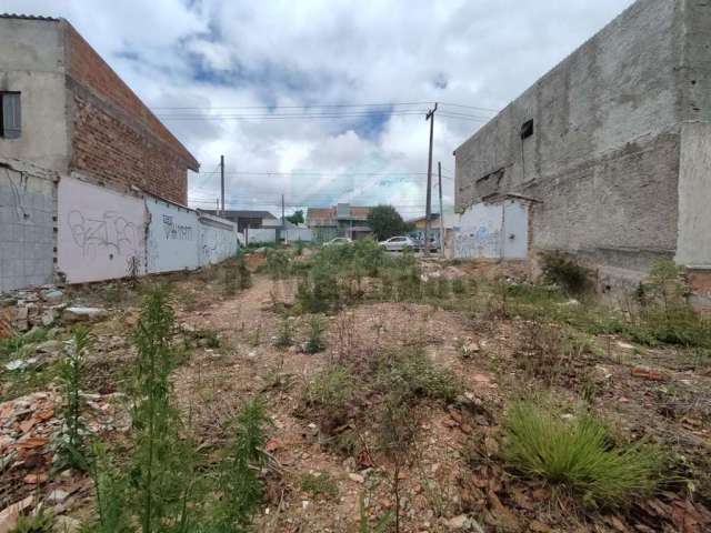 Terreno para Venda em Fazenda Rio Grande, Eucaliptos