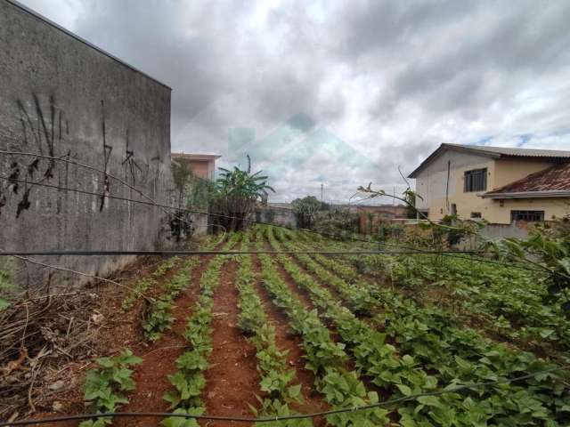 Terreno para Venda em Fazenda Rio Grande, Eucaliptos