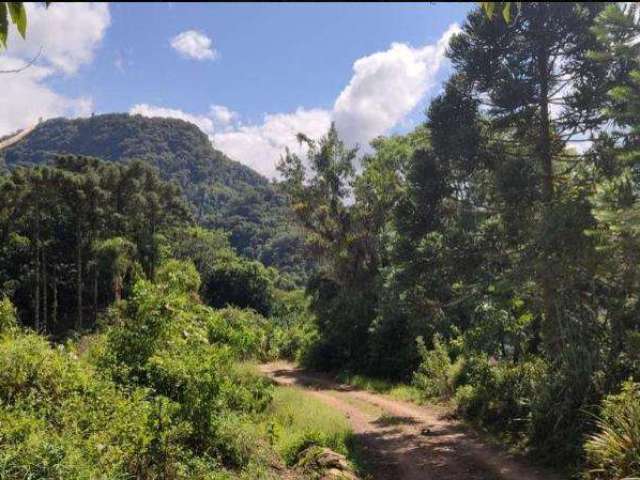 Terreno para Venda em São Bento do Sul, Rio Mandióca