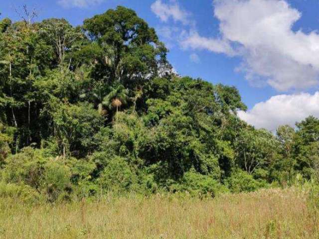 Terreno para Venda em São Bento do Sul, Rio Mandióca