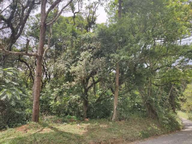 Terreno para Venda em São Bento do Sul, Mato Preto