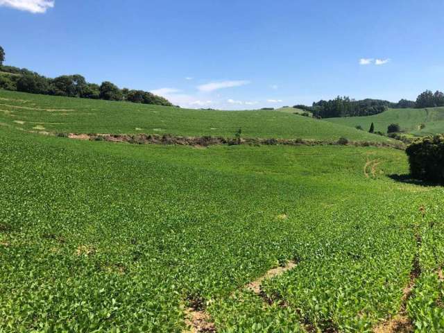 Terreno para Venda em Campo Alegre, Avenquinha