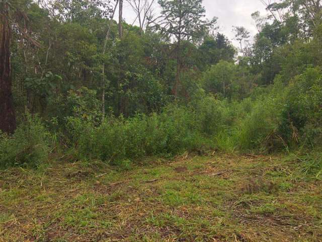 Terreno para Venda em São Bento do Sul, Rio Vermelho Povoado