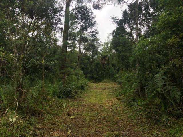 Terreno para Venda em São Bento do Sul, Rio Vermelho Povoado