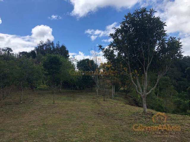 Terreno para Venda em São Bento do Sul, Rio Negro