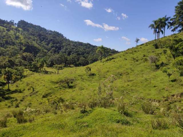 Terreno para Venda em São Bento do Sul, Serra Alta