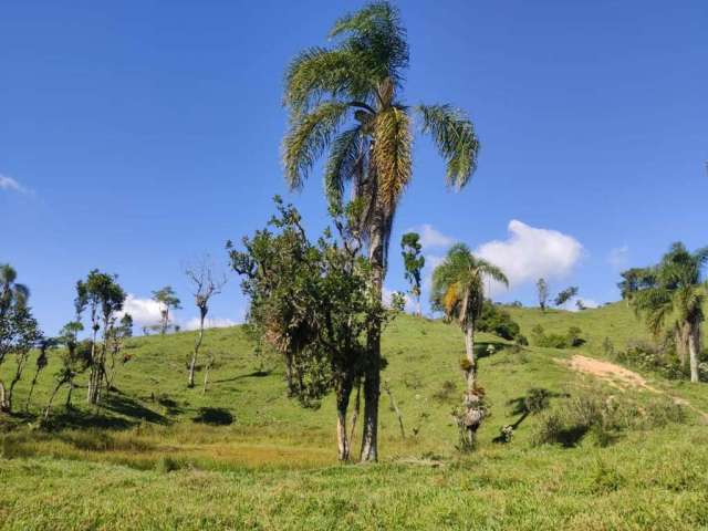 Terreno para Venda em São Bento do Sul, Serra Alta