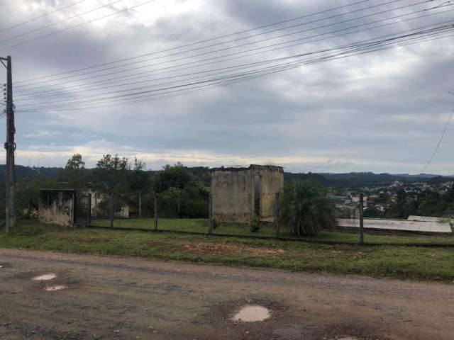 Terreno para Venda em São Bento do Sul, Serra Alta