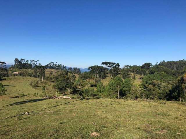 Terreno para Venda em São Bento do Sul, Serra Alta