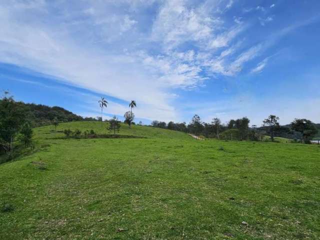 Terreno para Venda em São Bento do Sul, Serra Alta