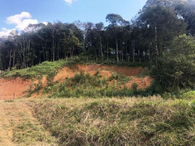 Terreno para Venda em São Bento do Sul, Rio Vermelho Estação