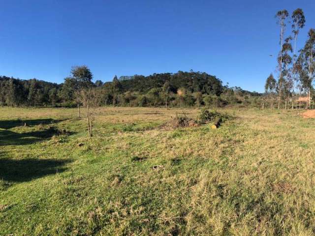 Terreno para Venda em São Bento do Sul, Serra Alta