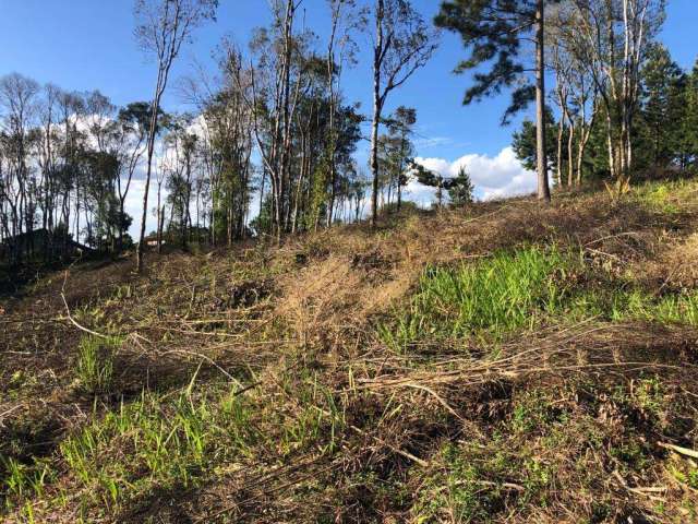 Terreno para Venda em São Bento do Sul, Progresso