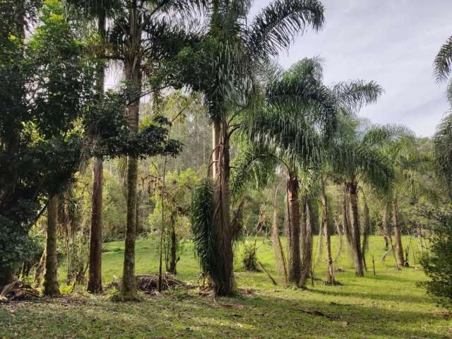 Terreno para Venda em São Bento do Sul, Rio Vermelho Estação