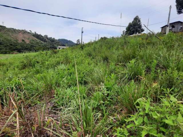 Terreno para Venda em Rio Negrinho, São Rafael