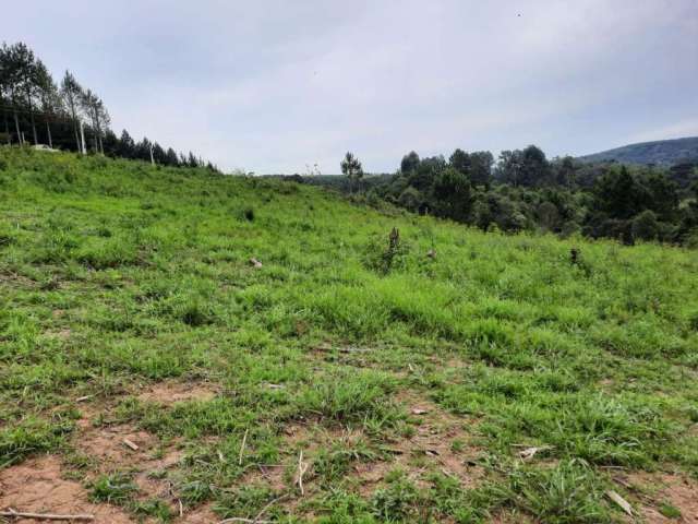 Terreno para Venda em Rio Negrinho, São Rafael