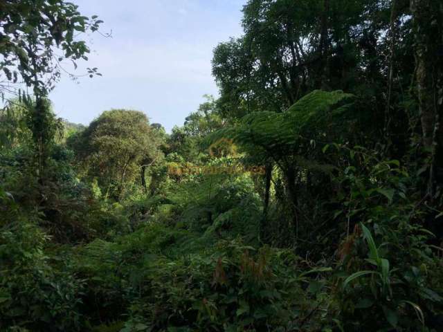 Terreno para Venda em São Bento do Sul, Rio Vermelho Estação