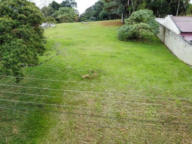 Terreno para Venda em São Bento do Sul, Centenário