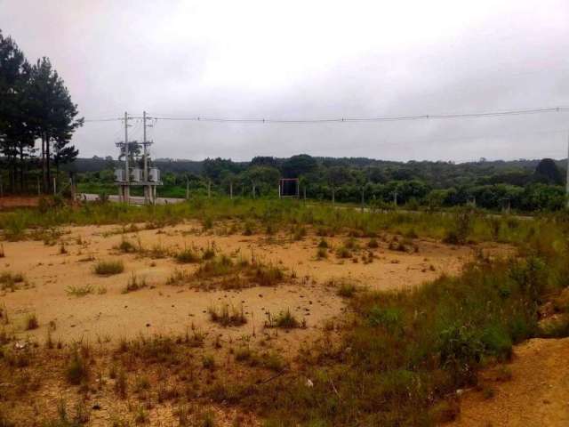 Terreno para Venda em São Bento do Sul, Lençol