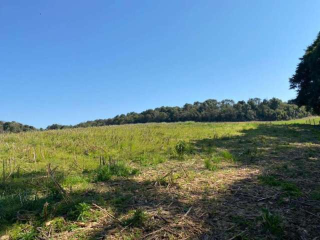 Terreno para Venda em São Bento do Sul, Dona Francisca