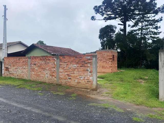 Terreno para Venda em São Bento do Sul, Centenário