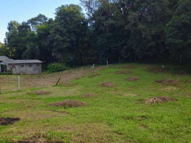 Terreno para Venda em São Bento do Sul, Dona Francisca