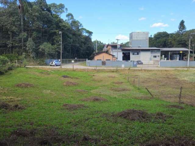 Terreno para Venda em São Bento do Sul, Dona Francisca