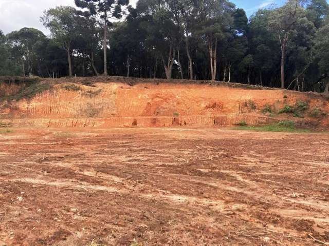 Terreno para Venda em São Bento do Sul, Alpino