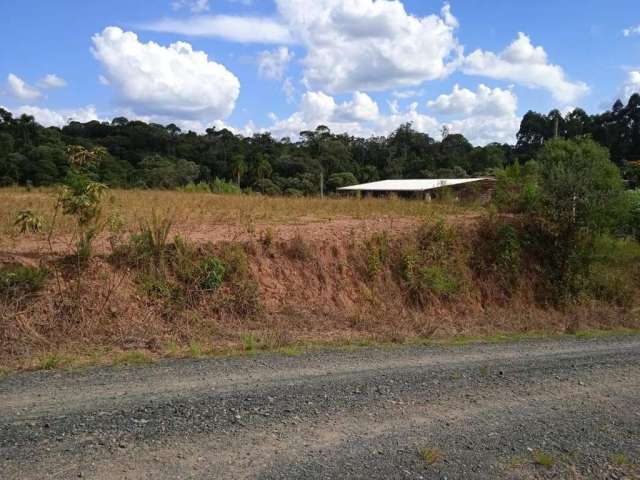 Terreno para Venda em São Bento do Sul, Serra Alta