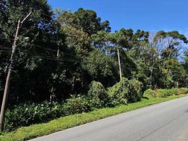 Terreno para Venda em São Bento do Sul, Schramm