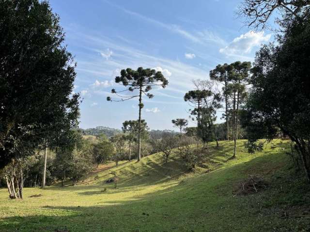 Terreno para Venda em São Bento do Sul, Rio Vermelho Estação