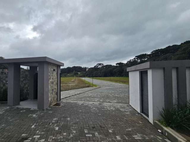 Terreno para Venda em São Bento do Sul, Boehmerwald