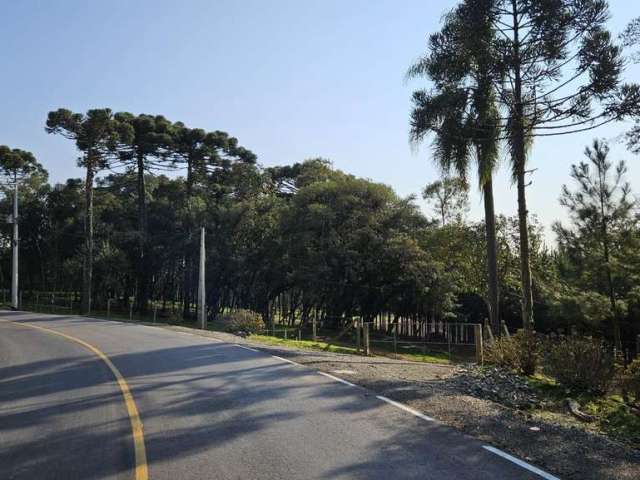 Terreno para Venda em Campo Alegre, Bateias de Baixo