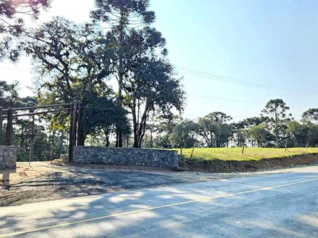 Terreno para Venda em Campo Alegre, Bateias de Baixo