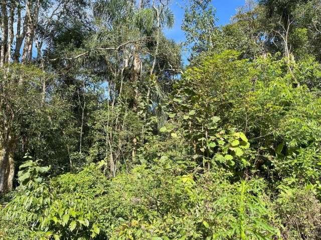 Terreno para Venda em São Bento do Sul, Serra Alta