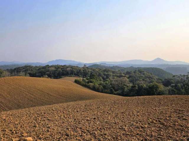 Terreno para Venda em Campo Alegre, Bateias de Cima