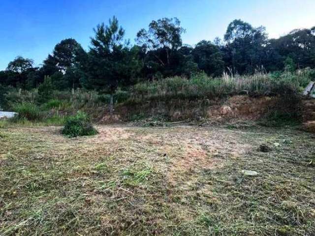 Terreno para Venda em São Bento do Sul, Alpino