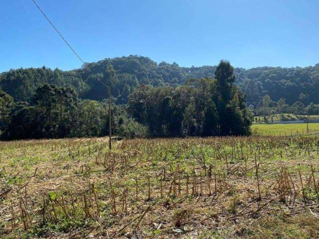 Terreno para Venda em São Bento do Sul, Centenário