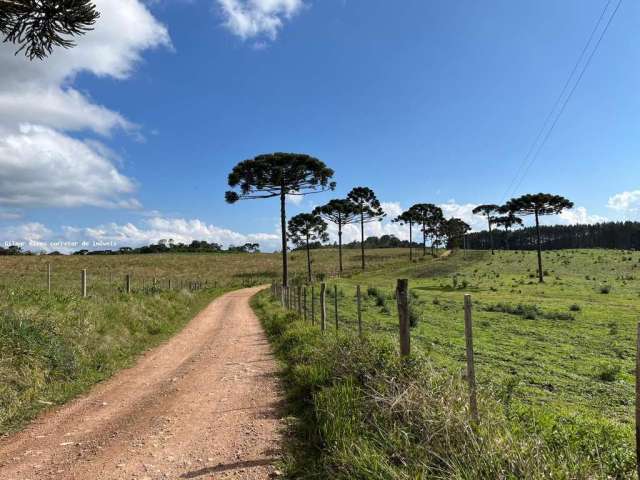 Fazenda para Venda em São Bento do Sul, Rio Vermelho Estação