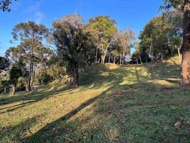 Terreno para Venda em São Bento do Sul, Brasilia