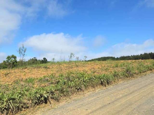 Terreno para Venda em São Bento do Sul, Cruzeiro